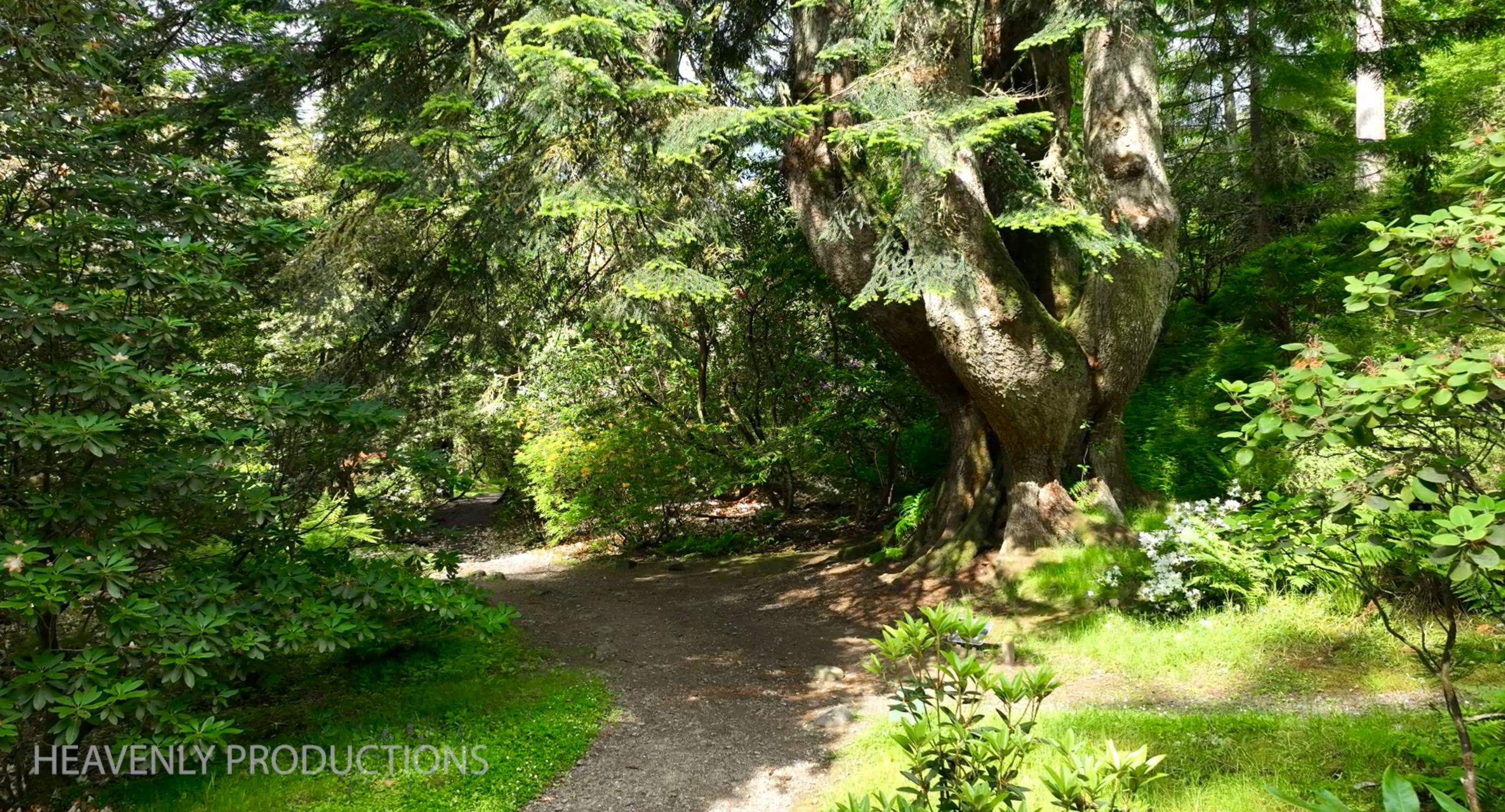 Relax by the Bonnie banks of Loch Lomond